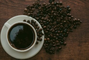 julia-florczak-Y6O6PHJRQms-unsplash